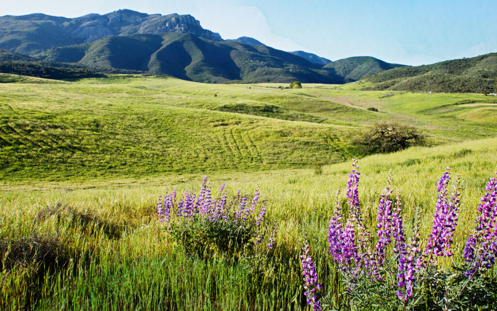 Caspers Trail Races race photo